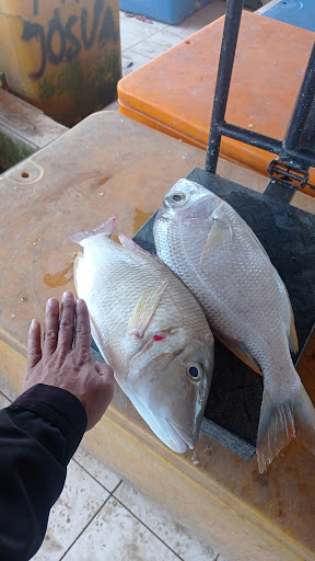 Indomaret Alfonsius Nisnoni