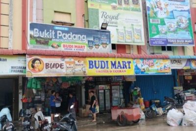 ini budi mart